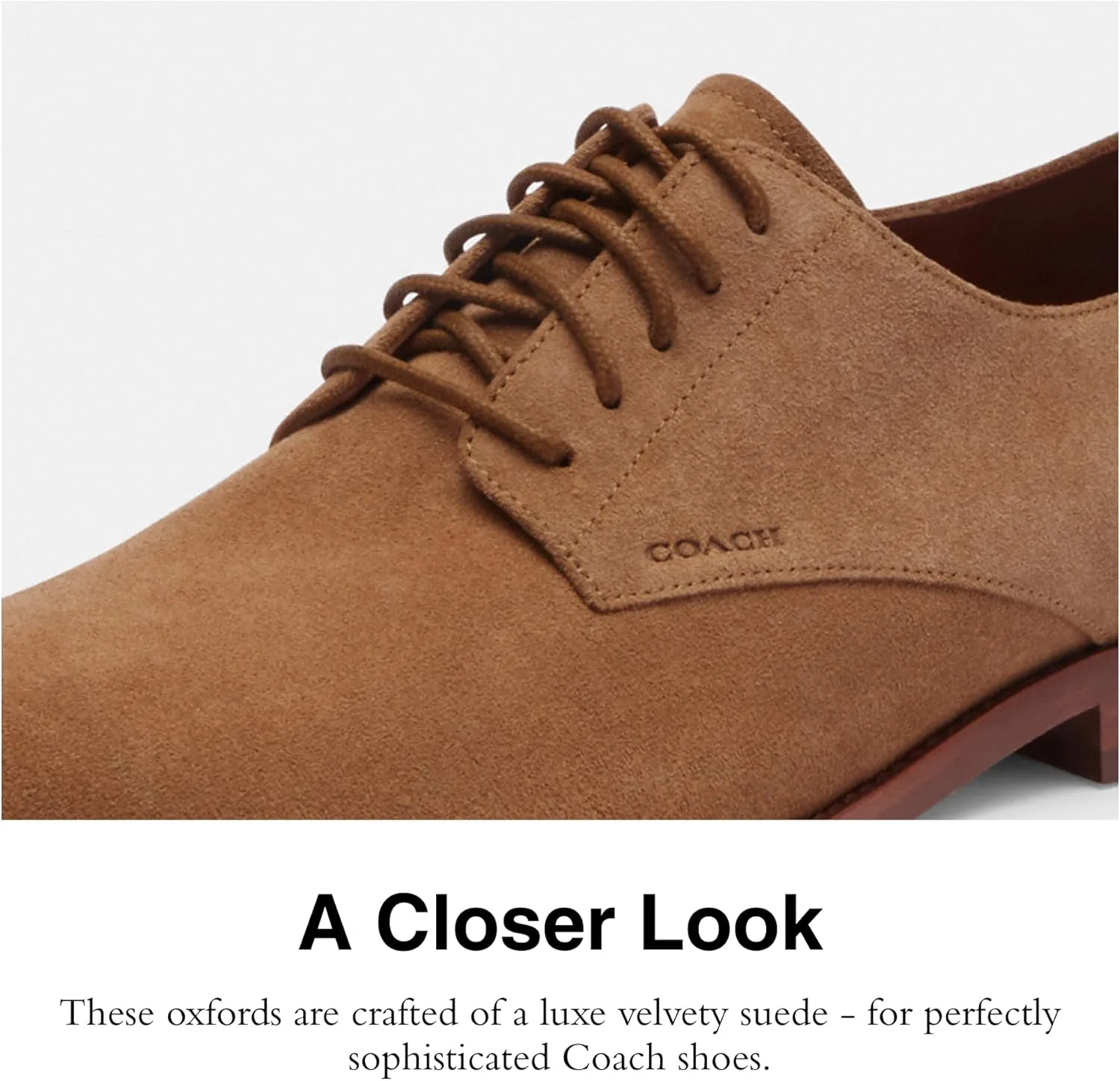 Coach Men's Davi Suede Derby