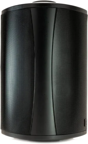 Definitive Technology AW6500 Outdoor Speaker - 6.5-inch Woofer, 200 Watts, Built for Extreme Weather, Single, Black