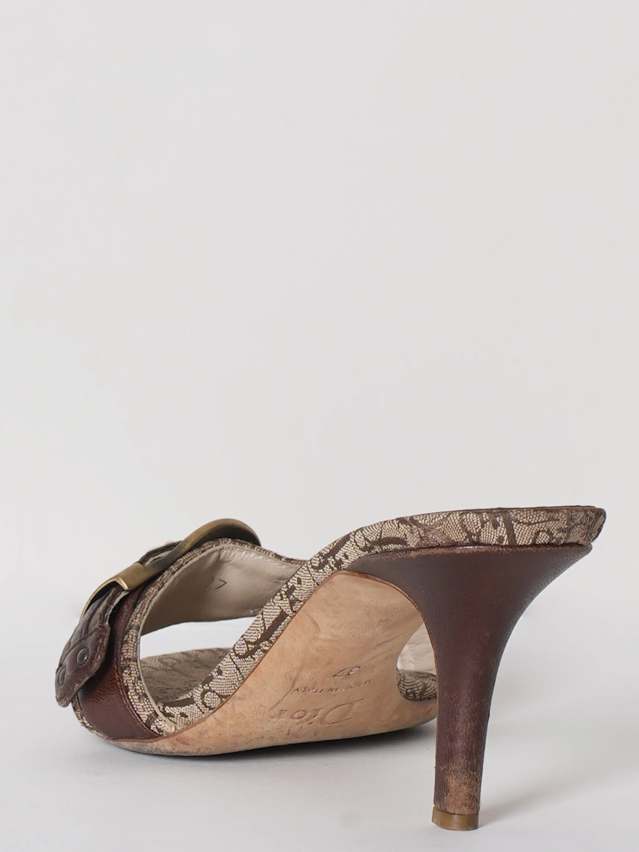 Dior Slide Buckle Sandal
