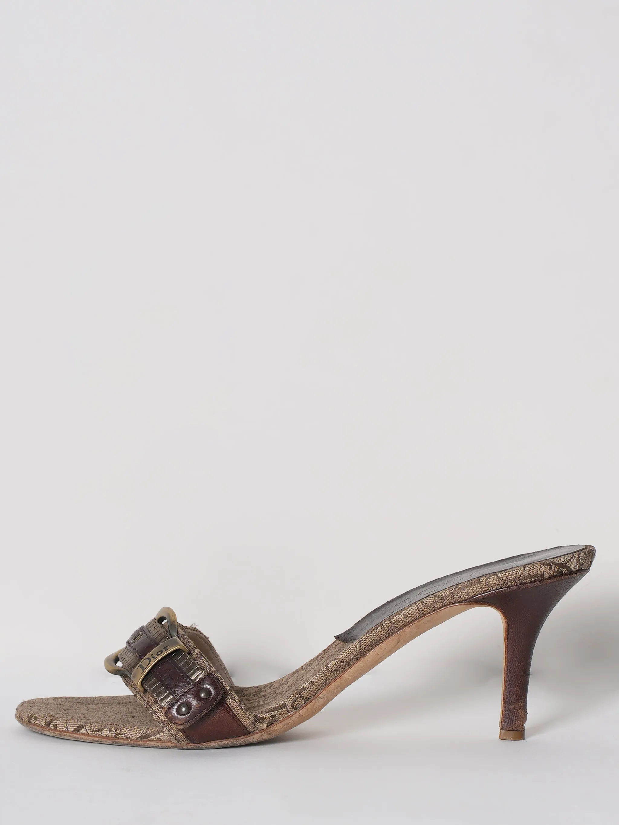 Dior Slide Buckle Sandal