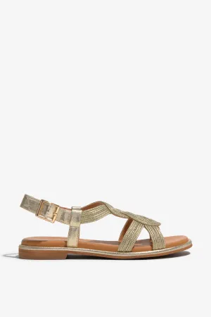 ELMA-08 Gold