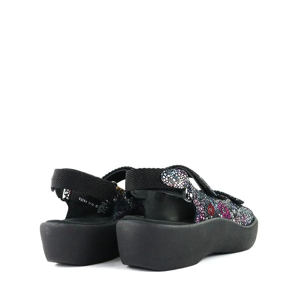 Jewel Black Multi