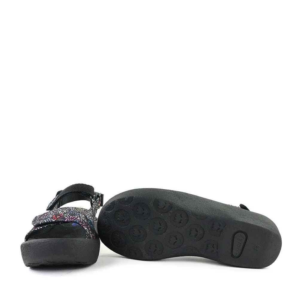 Jewel Black Multi