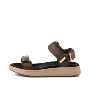Line - Brown