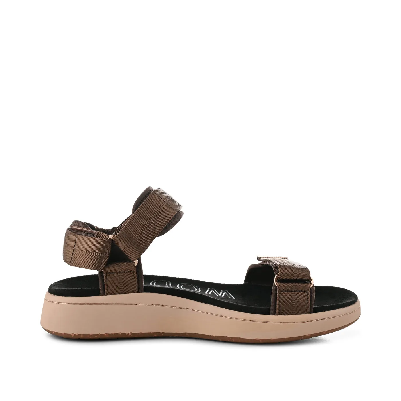 Line - Brown