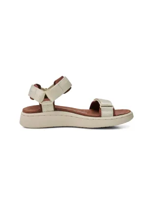 Line - Ivory