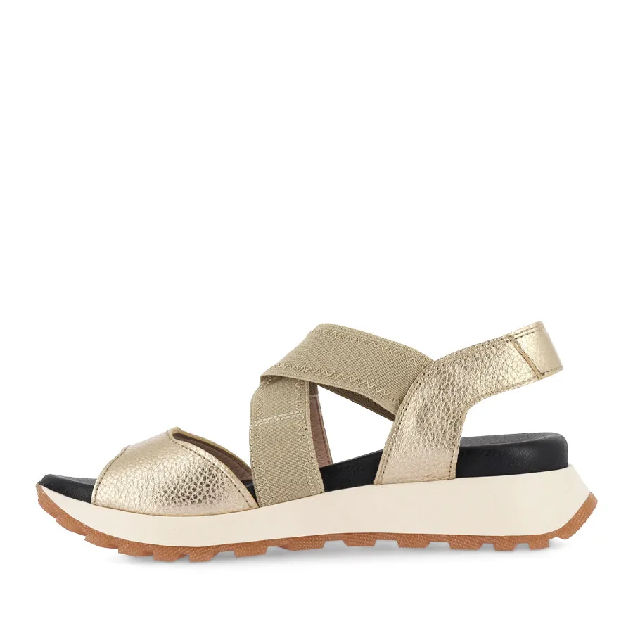 MAUI - ANTIQUE CHAMPAGNE MULTI